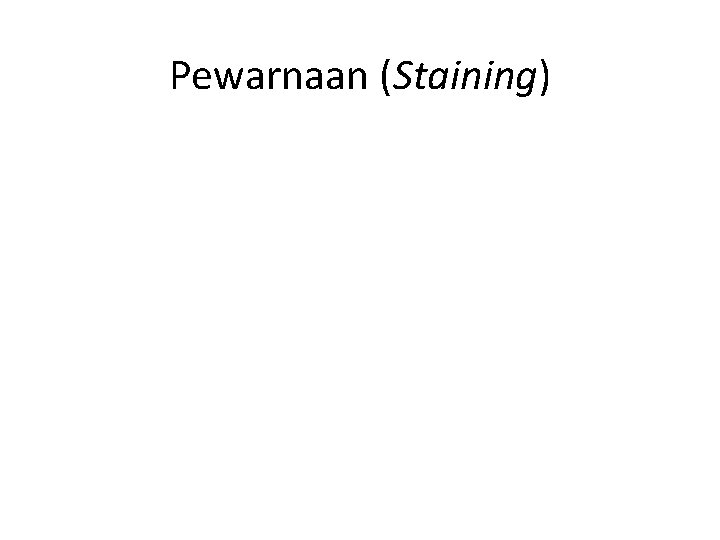 Pewarnaan (Staining) 