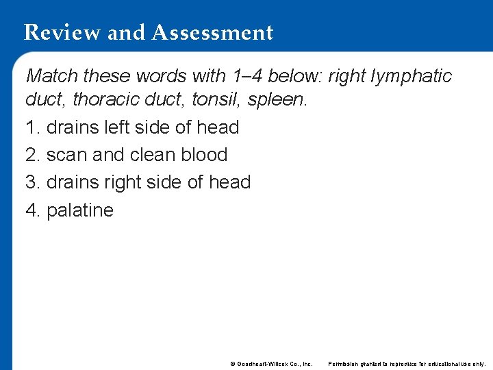 Review and Assessment Match these words with 1– 4 below: right lymphatic duct, thoracic