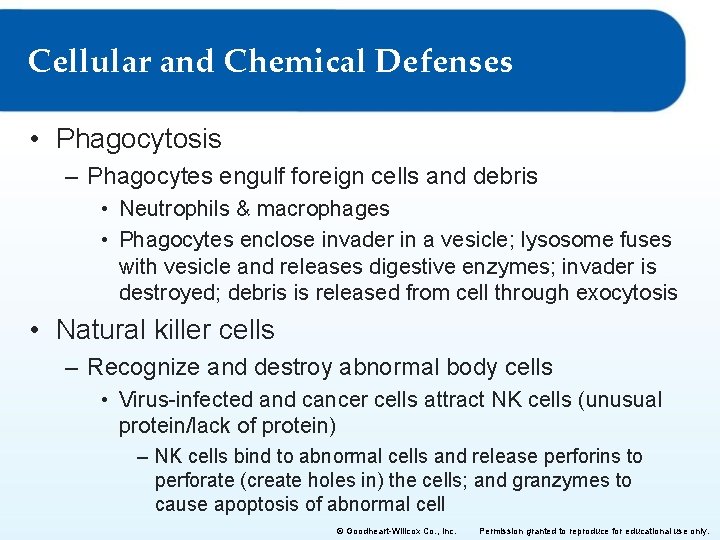 Cellular and Chemical Defenses • Phagocytosis – Phagocytes engulf foreign cells and debris •