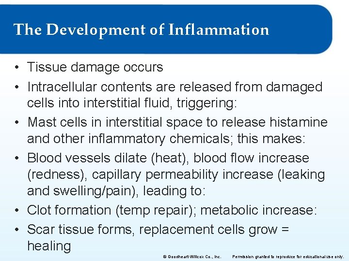 The Development of Inflammation • Tissue damage occurs • Intracellular contents are released from