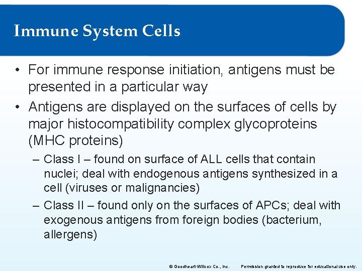 Immune System Cells • For immune response initiation, antigens must be presented in a