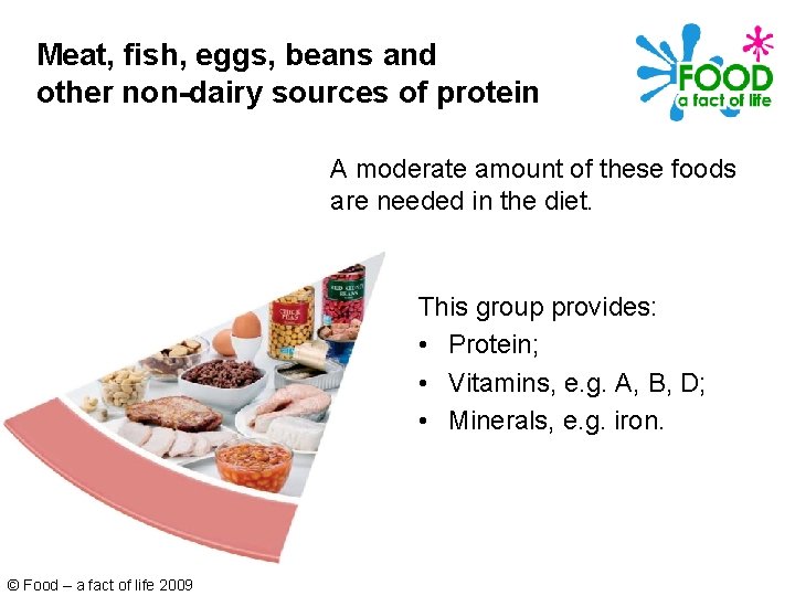 Meat, fish, eggs, beans and other non-dairy sources of protein A moderate amount of Meat, fish, eggs, beans and other non-dairy sources of protein A moderate amount of