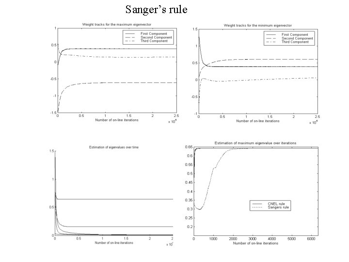 Sanger’s rule 