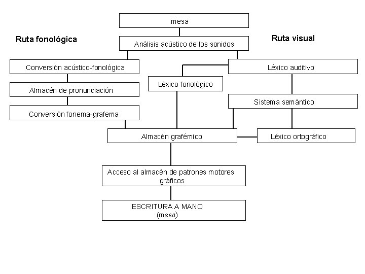 mesa Ruta fonológica Análisis acústico de los sonidos Conversión acústico-fonológica Almacén de pronunciación Ruta