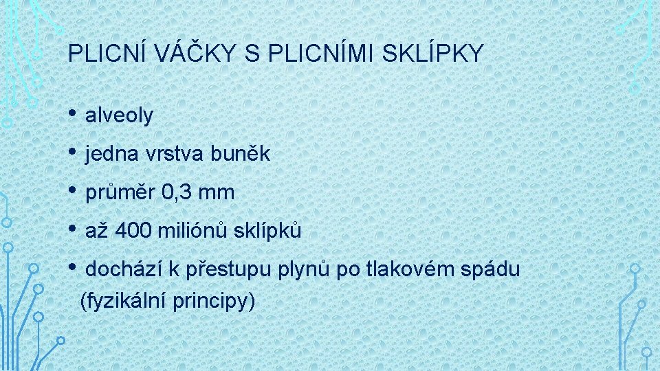 PLICNÍ VÁČKY S PLICNÍMI SKLÍPKY • alveoly • jedna vrstva buněk • průměr 0,