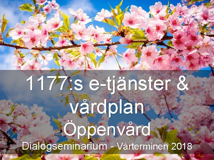 1177: s e-tjänster & vårdplan Öppenvård Dialogseminarium - Vårterminen 2018 Detta projektet medfinansieras av