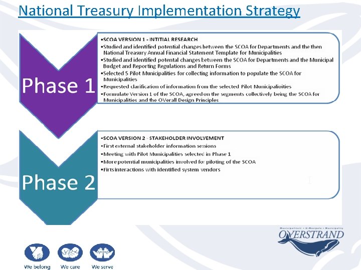 National Treasury Implementation Strategy 