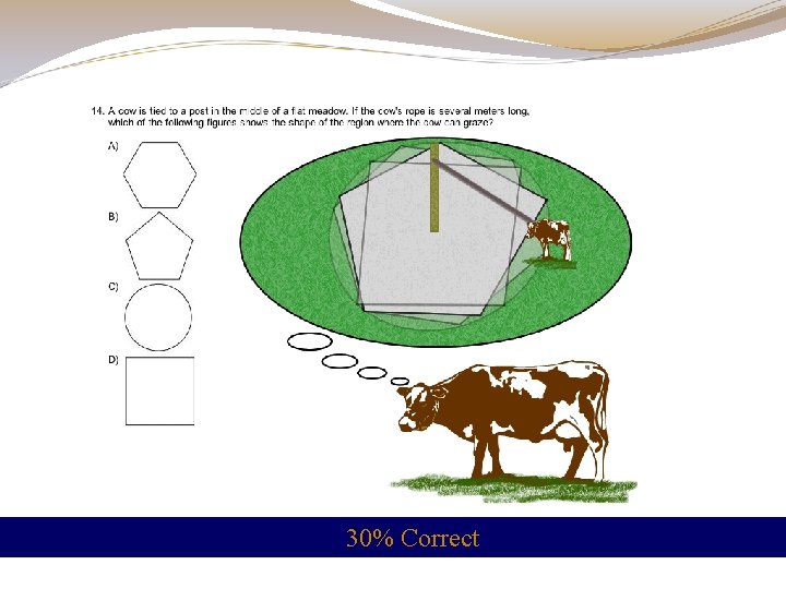 30% Correct 30% Correct