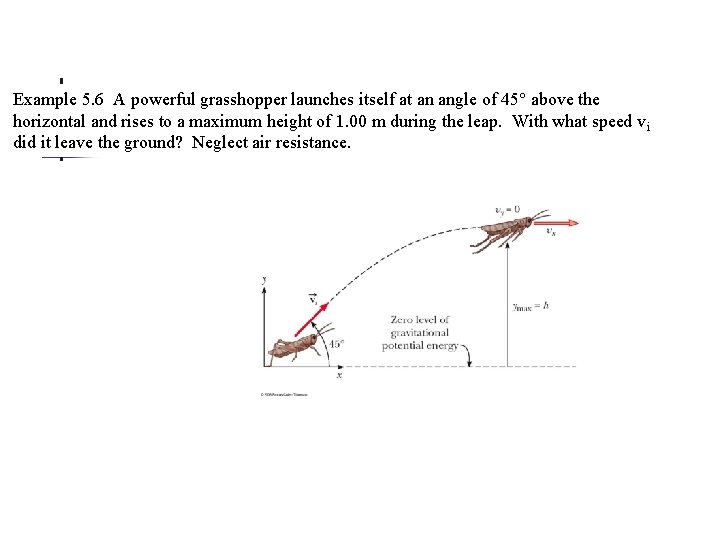 Example 5. 6 A powerful grasshopper launches itself at an angle of 45° above