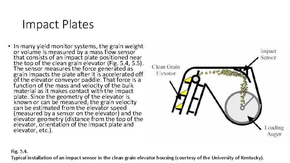 Impact Plates • In many yield monitor systems, the grain weight or volume is