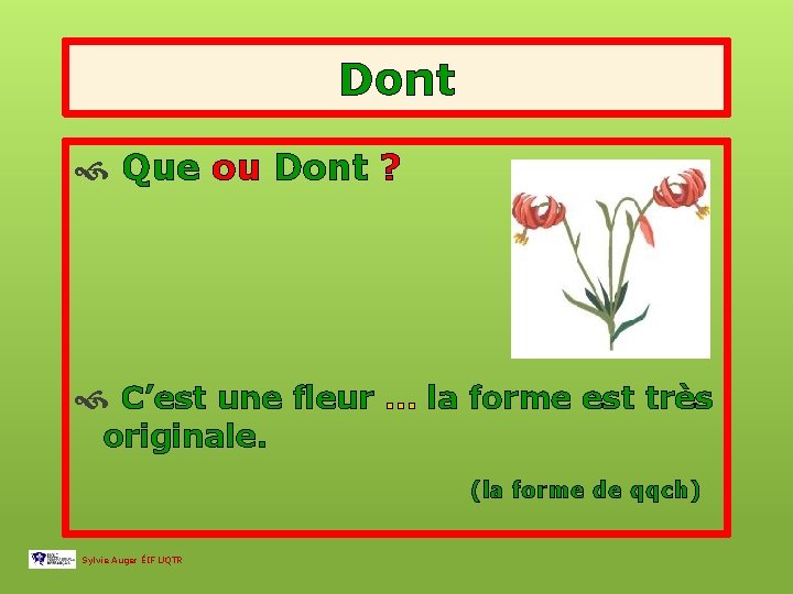 Dont Que ou Dont ? C’est une fleur … la forme est très originale.