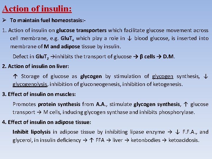 Action of insulin: To maintain fuel homeostasis: 1. Action of insulin on glucose transporters