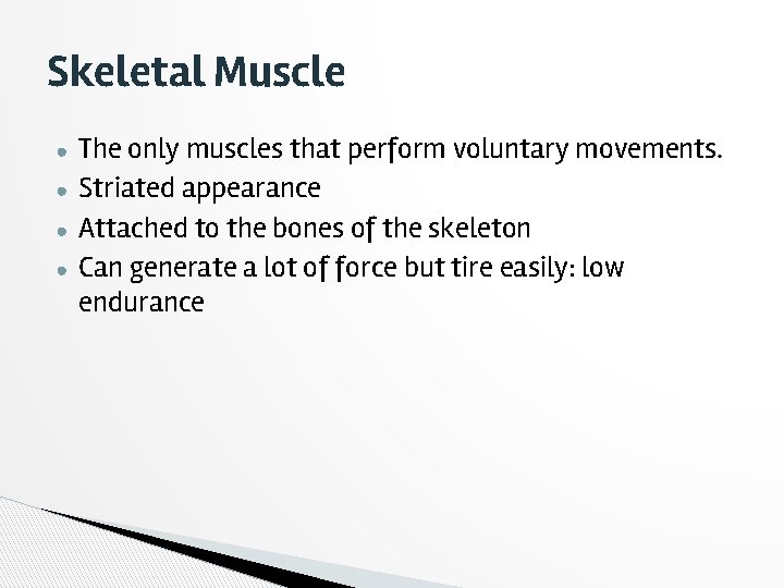 Skeletal Muscle ● ● The only muscles that perform voluntary movements. Striated appearance Attached