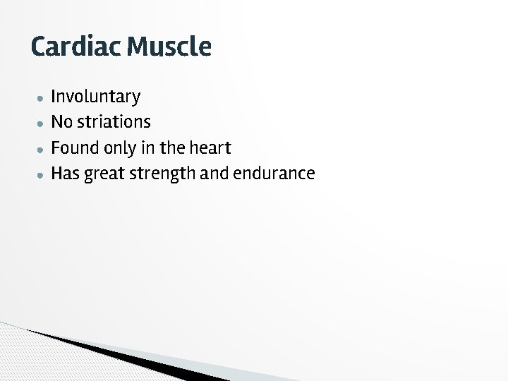 Cardiac Muscle ● ● Involuntary No striations Found only in the heart Has great