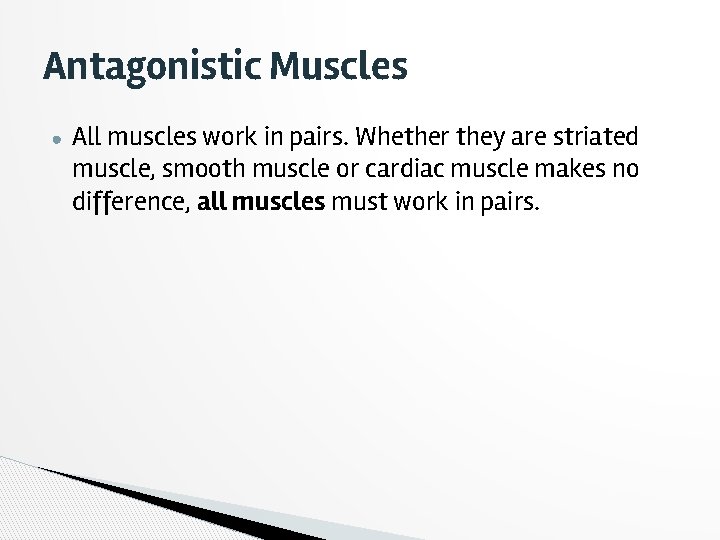 Antagonistic Muscles ● All muscles work in pairs. Whether they are striated muscle, smooth