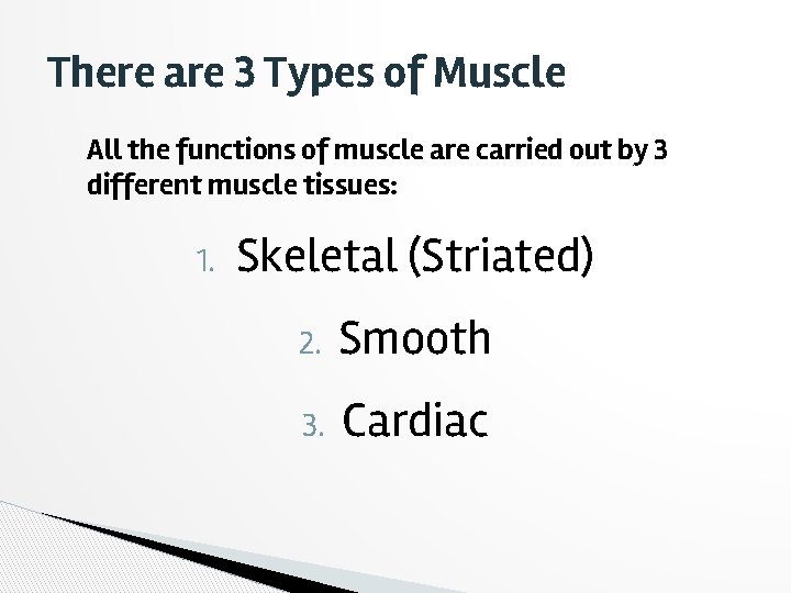 There are 3 Types of Muscle All the functions of muscle are carried out