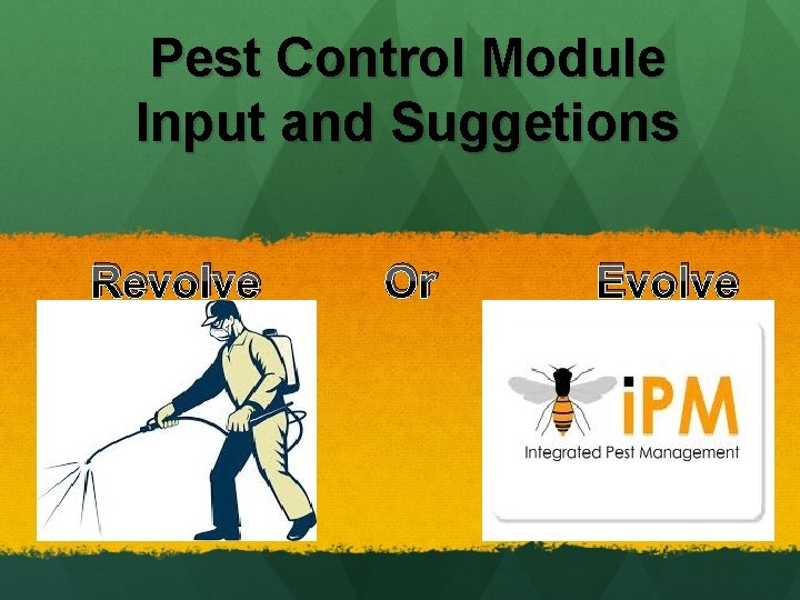 Pest Control Module Input and Suggetions Revolve Or Evolve Pest Control Module Input and Suggetions Revolve Or Evolve