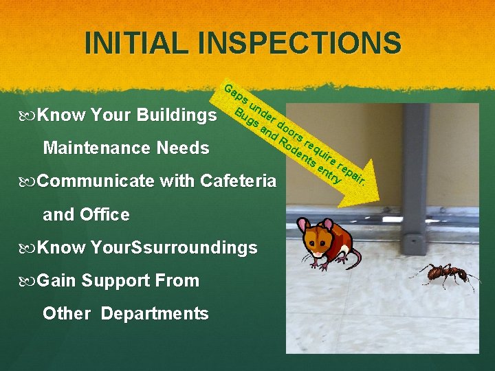 INITIAL INSPECTIONS Ga Know Your Buildings Maintenance Needs ps u Bu nde gs r INITIAL INSPECTIONS Ga Know Your Buildings Maintenance Needs ps u Bu nde gs r