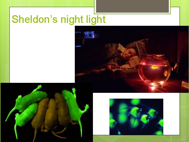 Sheldon’s night light Sheldon’s night light