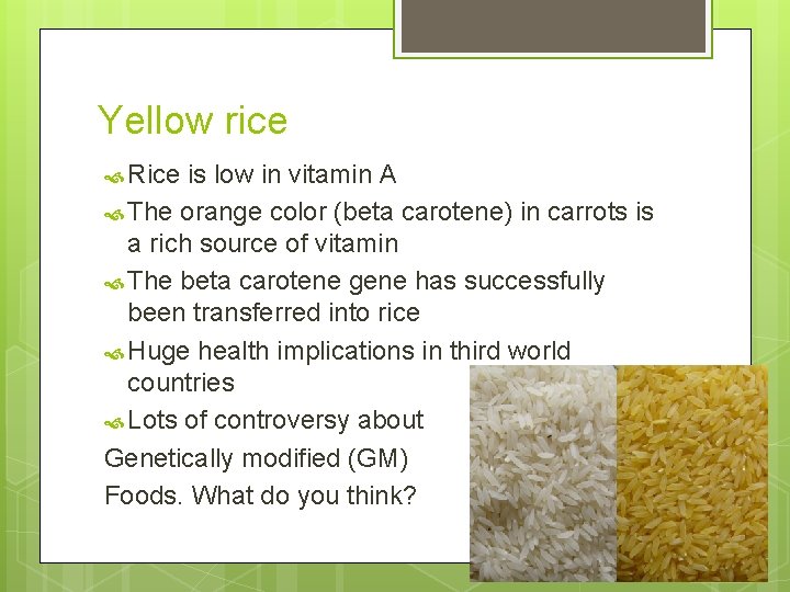 Yellow rice Rice is low in vitamin A The orange color (beta carotene) in Yellow rice Rice is low in vitamin A The orange color (beta carotene) in