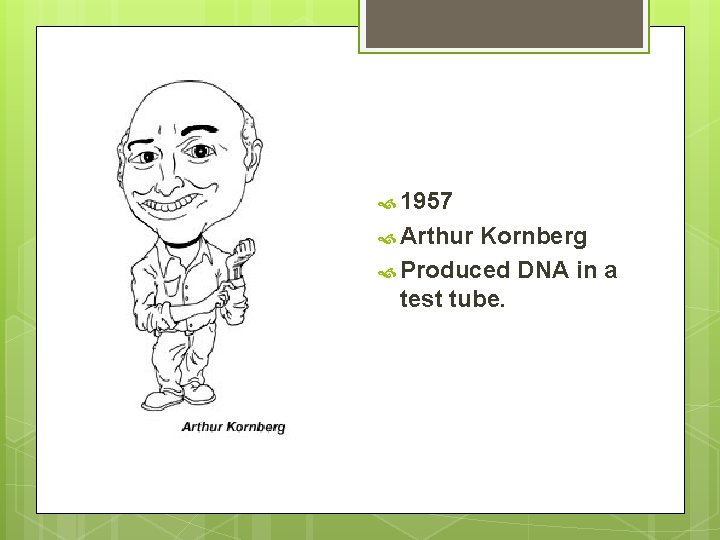 1957 Arthur Kornberg Produced DNA in a test tube. 1957 Arthur Kornberg Produced DNA in a test tube.