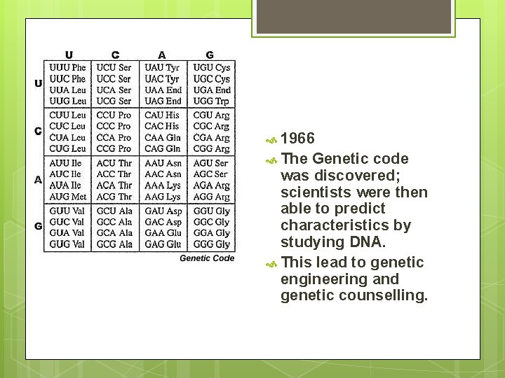 1966 The Genetic code was discovered; scientists were then able to predict characteristics 1966 The Genetic code was discovered; scientists were then able to predict characteristics