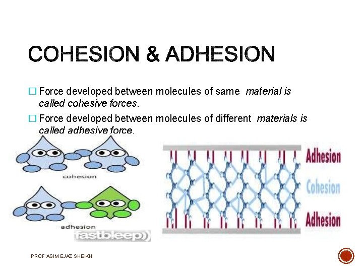 � Force developed between molecules of same material is called cohesive forces. � Force