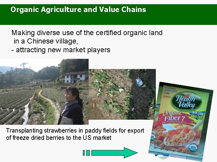 Organic Agriculture and Value Chains Making diverse use of the certified organic land in