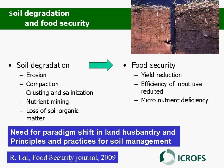 Soil degradation and food security • Soil degradation – – – Erosion Compaction Crusting