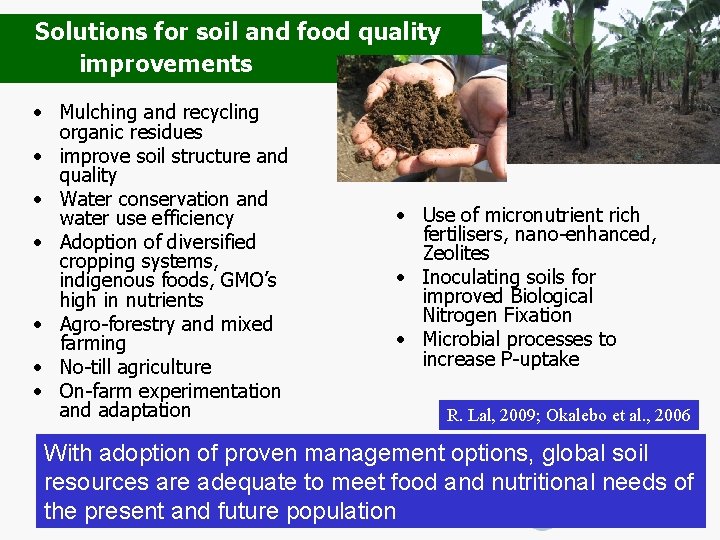 Solutions for soil and food quality improvements • Mulching and recycling organic residues •