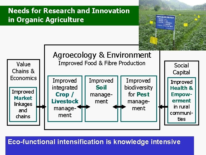 Needs for Research and Innovation in Organic Agriculture Agroecology & Environment Value Chains &