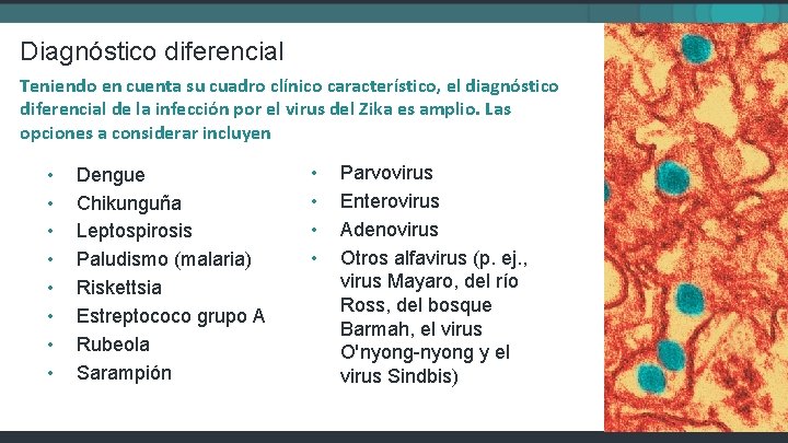 Diagnóstico diferencial Teniendo en cuenta su cuadro clínico característico, el diagnóstico diferencial de la