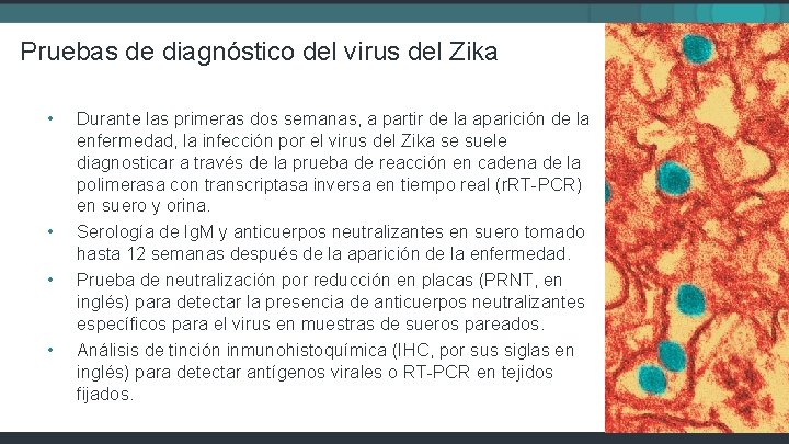 Pruebas de diagnóstico del virus del Zika • • Durante las primeras dos semanas,