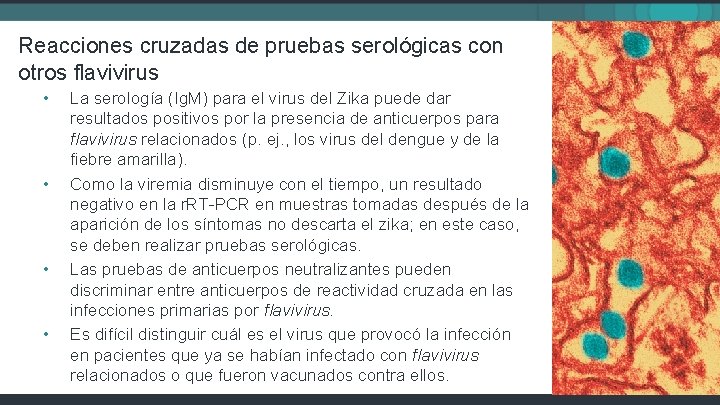 Reacciones cruzadas de pruebas serológicas con otros flavivirus • • La serología (Ig. M)