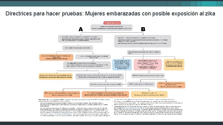 Directrices para hacer pruebas: Mujeres embarazadas con posible exposición al zika 