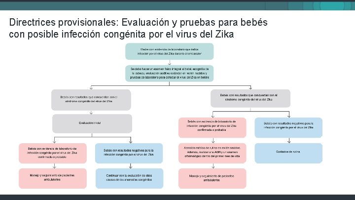 Directrices provisionales: Evaluación y pruebas para bebés con posible infección congénita por el virus