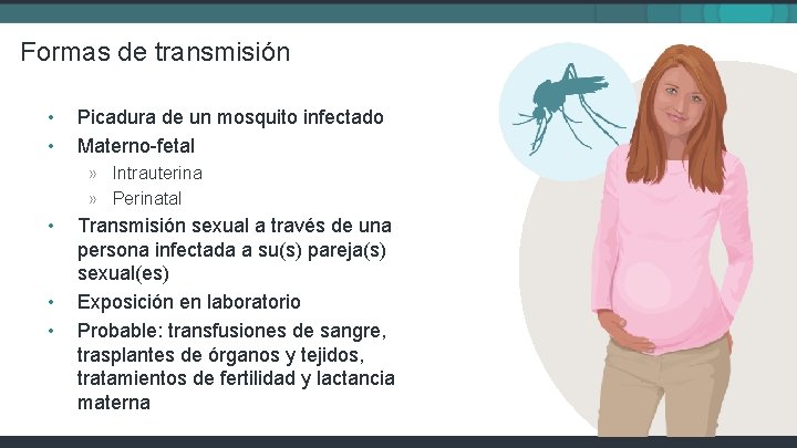 Formas de transmisión • • Picadura de un mosquito infectado Materno-fetal » Intrauterina »