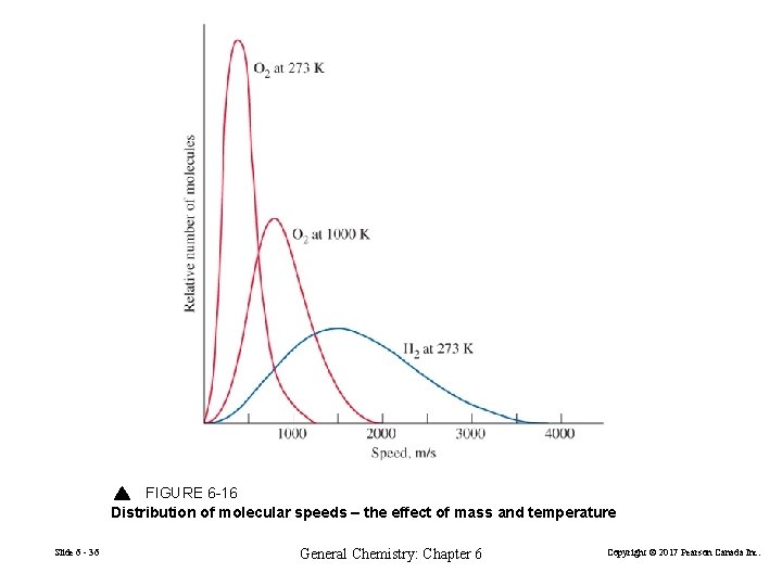 FIGURE 6 -16 Distribution of molecular speeds – the effect of mass and temperature
