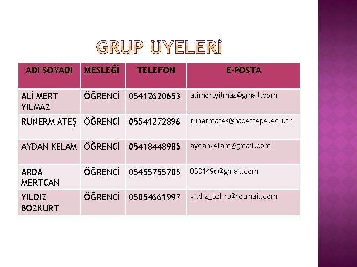 ADI SOYADI MESLEĞİ TELEFON ÖĞRENCİ 05412620653 alimertyilmaz@gmail. com RUNERM ATEŞ ÖĞRENCİ 05541272896 runermates@hacettepe. edu.