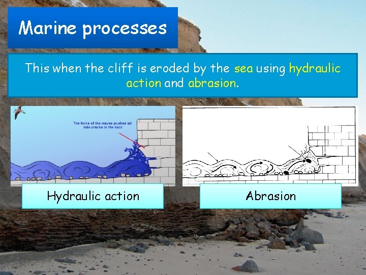 Marine processes This when the cliff is eroded by the sea using hydraulic action
