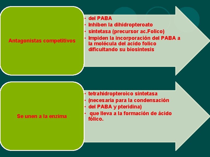 Antagonistas competitivos Se unen a la enzima • • del PABA Inhiben la dihidropteroato Antagonistas competitivos Se unen a la enzima • • del PABA Inhiben la dihidropteroato