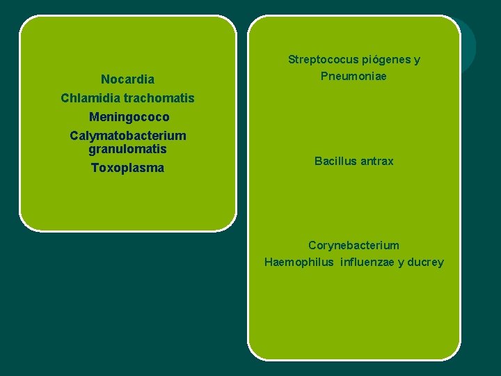 Streptococus piógenes y Nocardia Chlamidia trachomatis Meningococo Calymatobacterium granulomatis Toxoplasma Pneumoniae Bacillus antrax Corynebacterium Streptococus piógenes y Nocardia Chlamidia trachomatis Meningococo Calymatobacterium granulomatis Toxoplasma Pneumoniae Bacillus antrax Corynebacterium