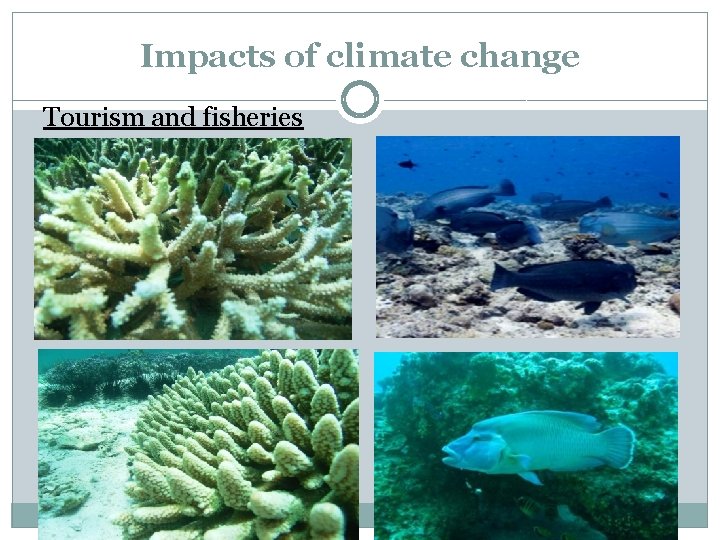 Impacts of climate change Tourism and fisheries 