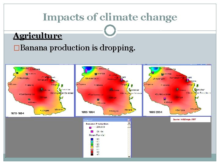 Impacts of climate change Agriculture �Banana production is dropping. 1975 -1984 1985 -1994 1995