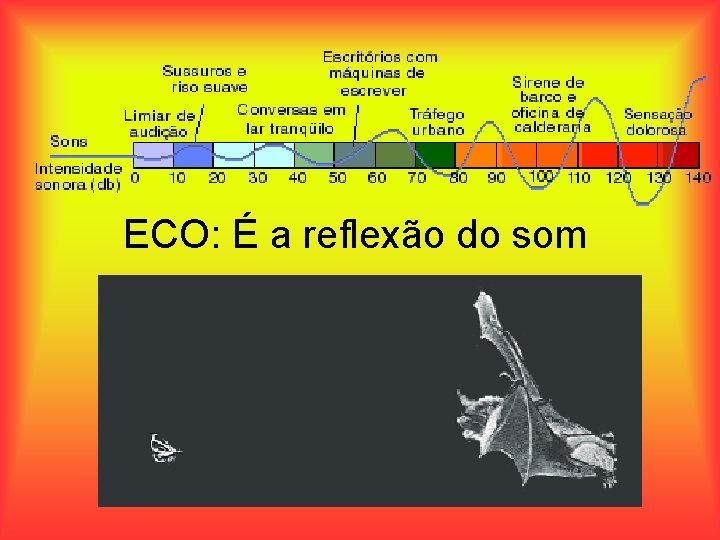 ECO: É a reflexão do som 