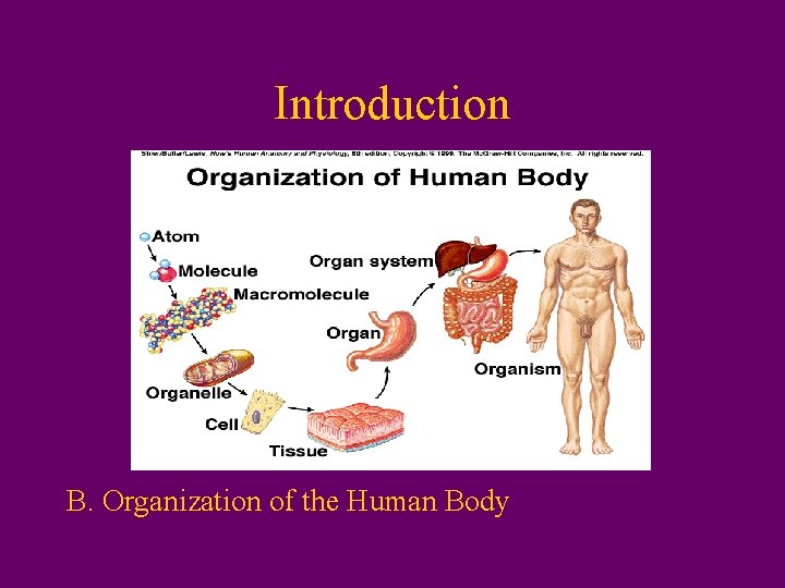 Introduction B. Organization of the Human Body 