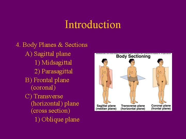 Introduction 4. Body Planes & Sections A) Sagittal plane 1) Midsagittal 2) Parasagittal B)