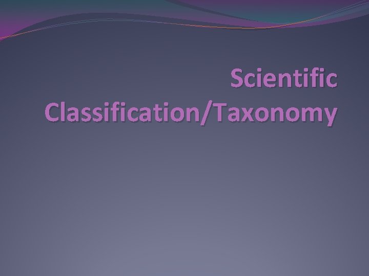 Scientific Classification/Taxonomy 