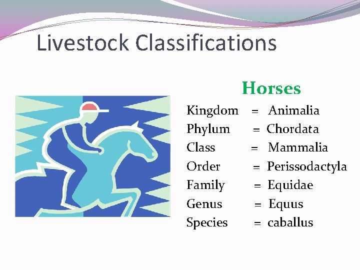 Livestock Classifications Horses Kingdom = Animalia Phylum = Chordata Class = Mammalia Order =