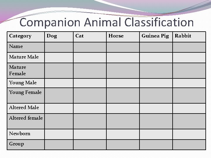 Companion Animal Classification Category Name Mature Male Mature Female Young Male Young Female Altered